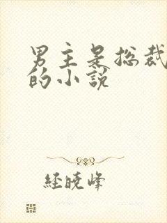 男主是总裁姓盛的小说