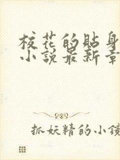 校花的贴身高手小说最新章节列表最封面