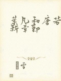 叶凡和唐若雪最新章节封面