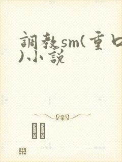 调教sm(重口)小说封面