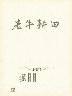 老牛耕田
