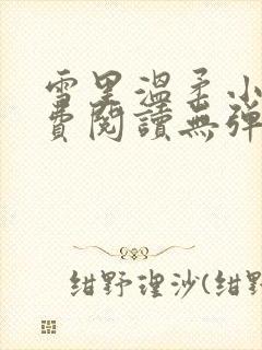 雪里温柔小说免费阅读无弹窗全文封面