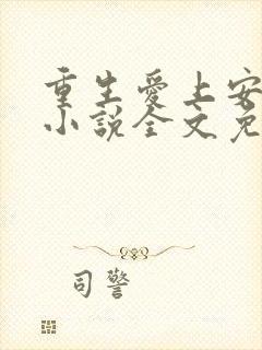 重生爱上安子迁小说全文免费阅读