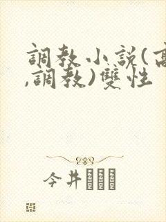 调教小说(高h,调教)双性