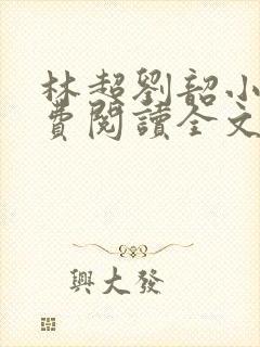 林超刘韶小说免费阅读全文最新章节