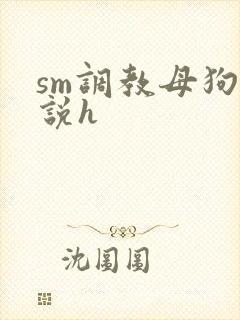 sm调教母狗小说h