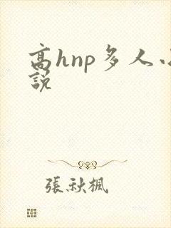 高hnp多人小说