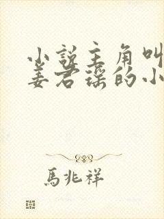 小说主角叫叶楚姜君瑶的小说