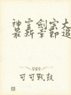 神霄剑宗大师兄最新章节追杀