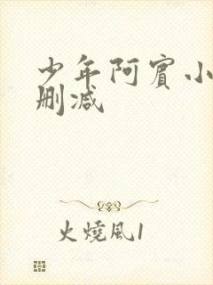 少年阿宾小说无删减