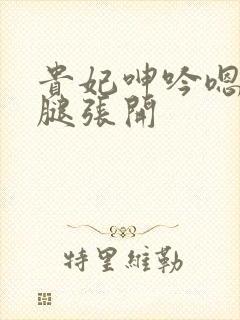 贵妃呻吟嗯啊双腿张开