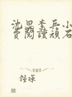 沈思李兵小说免费阅读顽石网