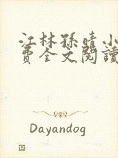 江林孙晴小说免费全文阅读