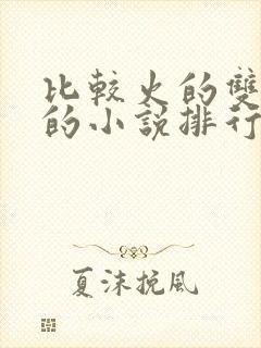 比较火的双男主的小说排行榜封面