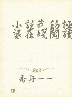 小说我的极品老婆在线阅读全文