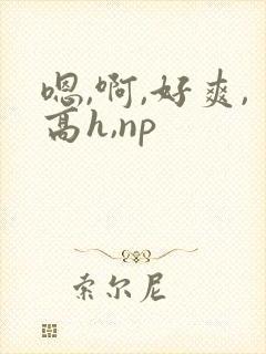 嗯,啊,好爽,高h,np