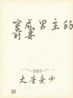 穿成男主的炮灰前妻封面