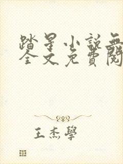 踏星小说无弹窗全文免费阅读