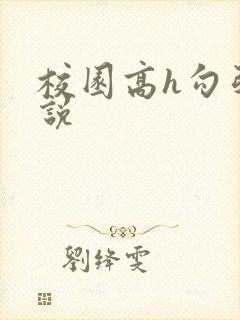 校园高h勾引小说封面