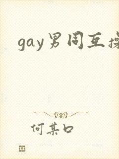 gay男同互操