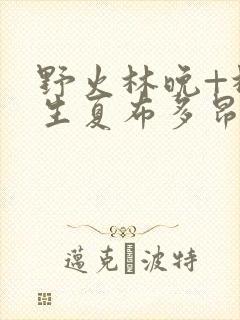 野火林晚+林潮生夏布多昂笔趣阁