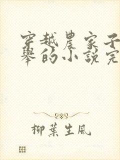 穿越农家子考科举的小说完结