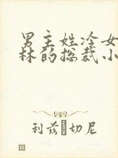 男主姓冷女主姓林的总裁小说