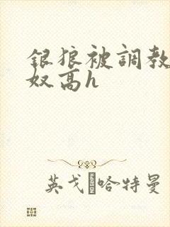 银狼被调教成肉奴高h