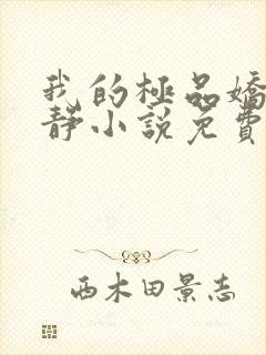 我的极品娇妻白静小说免费阅读全文