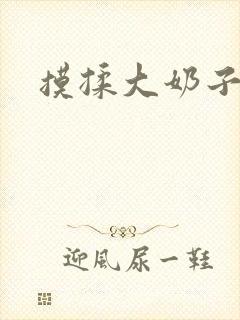 摸揉大奶子小说