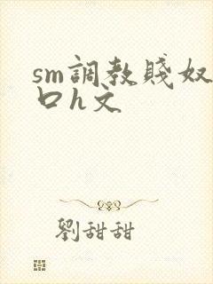 sm调教贱奴重口h文封面