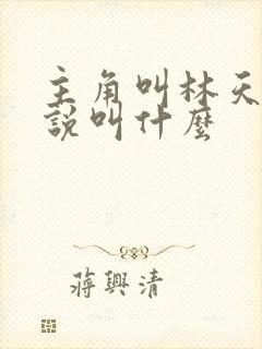 主角叫林天的小说叫什么