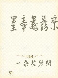 男主是慕容冲女主穿越的小说封面