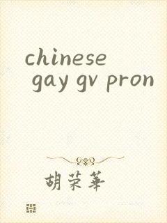 chinese gay gv pron