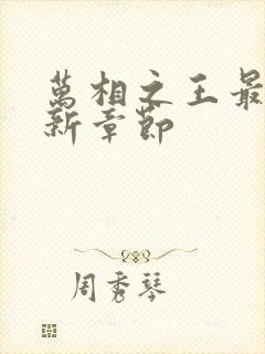 万相之王最新更新章节