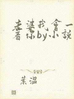 老婆我会一直缠着你by小说免费阅读封面