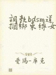 调教bdsm道捆绑束缚女