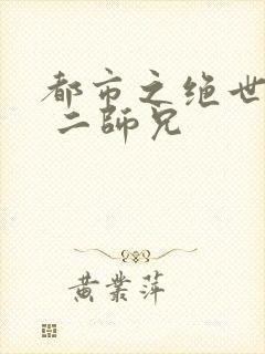 都市之绝世战神 二师兄
