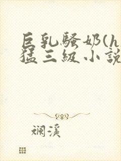 巨乳骚奶(h)猛三级小说