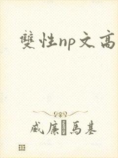 双性np文高h