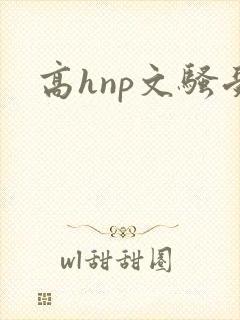 高hnp文骚受