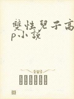 双性儿子高hnp小说