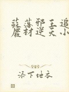 苏落邪王追妻:废材逆天小姐字数