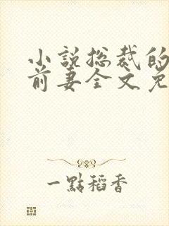 小说总裁的替身前妻全文免费阅读