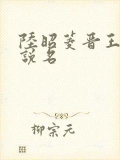 陆昭菱晋王的小说名