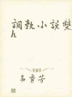 调教小说双性高h封面