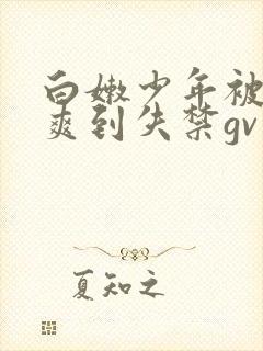 白嫩少年被调教爽到失禁gv小说