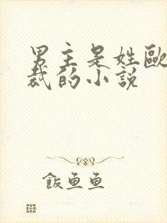 男主是姓欧的总裁的小说