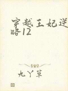 穿越王妃逆袭攻略12