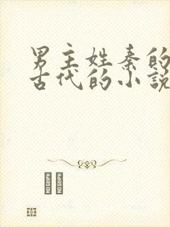 男主姓秦的穿越古代的小说